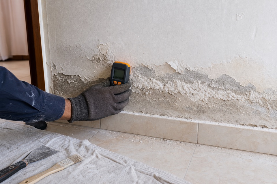 Moisture meter checking salt deposits and peeling paint on a damp ground floor wall