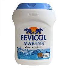 Fevicol Marine